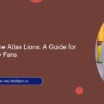 Traveling with the Atlas Lions: A Guide for Moroccan Away Fans