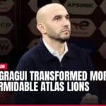 how regragui transformed morocco into formidable atlas lions — news card