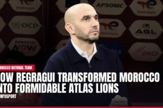 how regragui transformed morocco into formidable atlas lions — news card