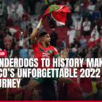 Moroccan footballer celebrates with flag, crowd cheering at 2022 World Cup.