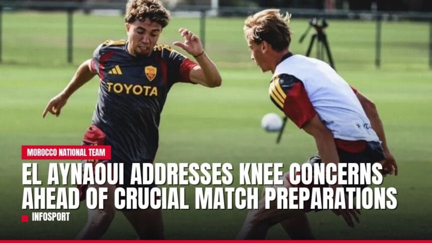 el aynaoui addresses knee concerns ahead of crucial match preparations — news card