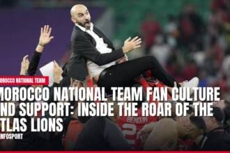 morocco national team fan culture and support: inside the roar of the atlas lions — news card