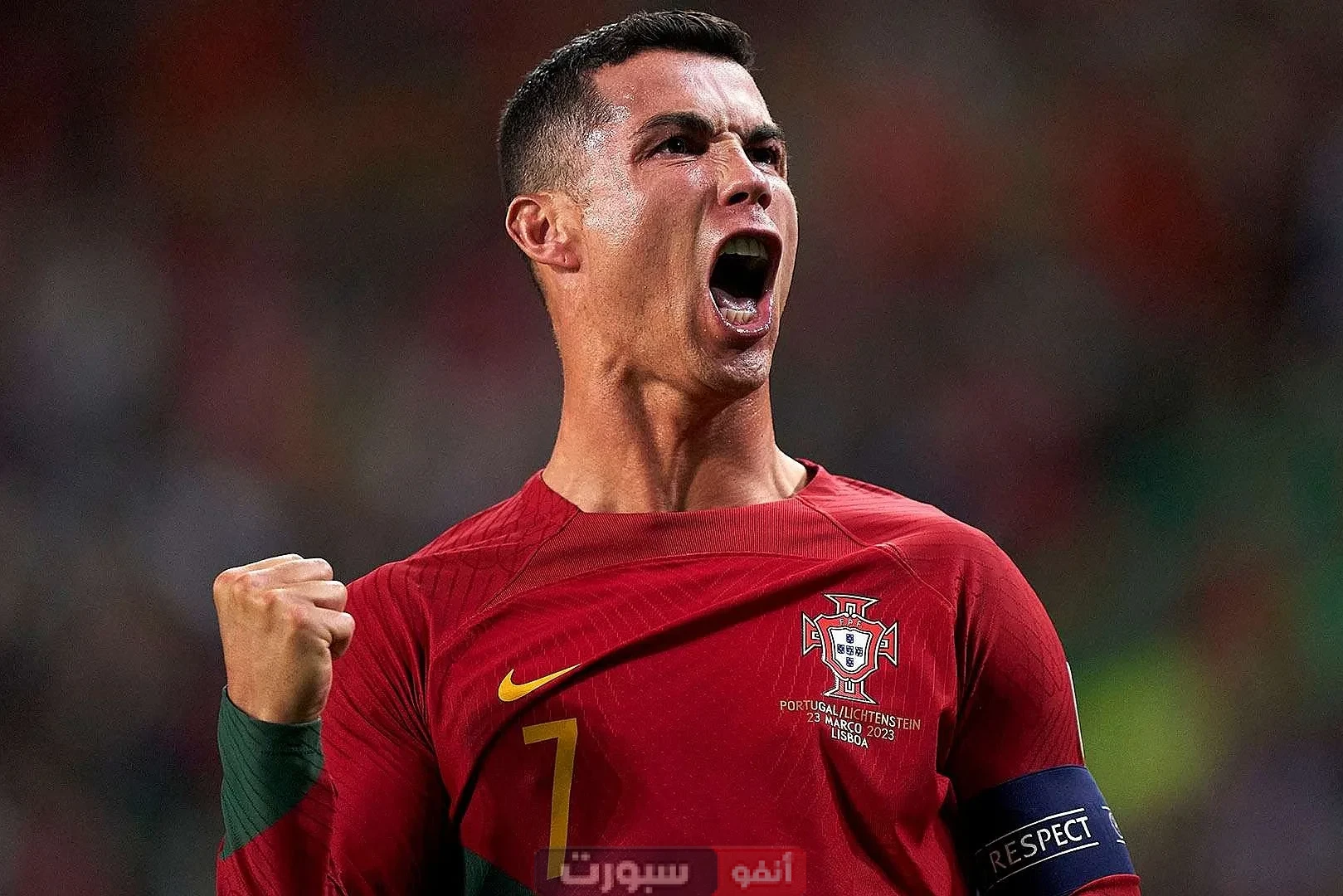 ترتيب هدافي دوري الأمم الأوروبية بعد تسجيل رونالدو في شباك إسبانيا