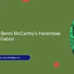 5 Lessons from Benni McCarthy’s Harambee Stars defeat by Gabon