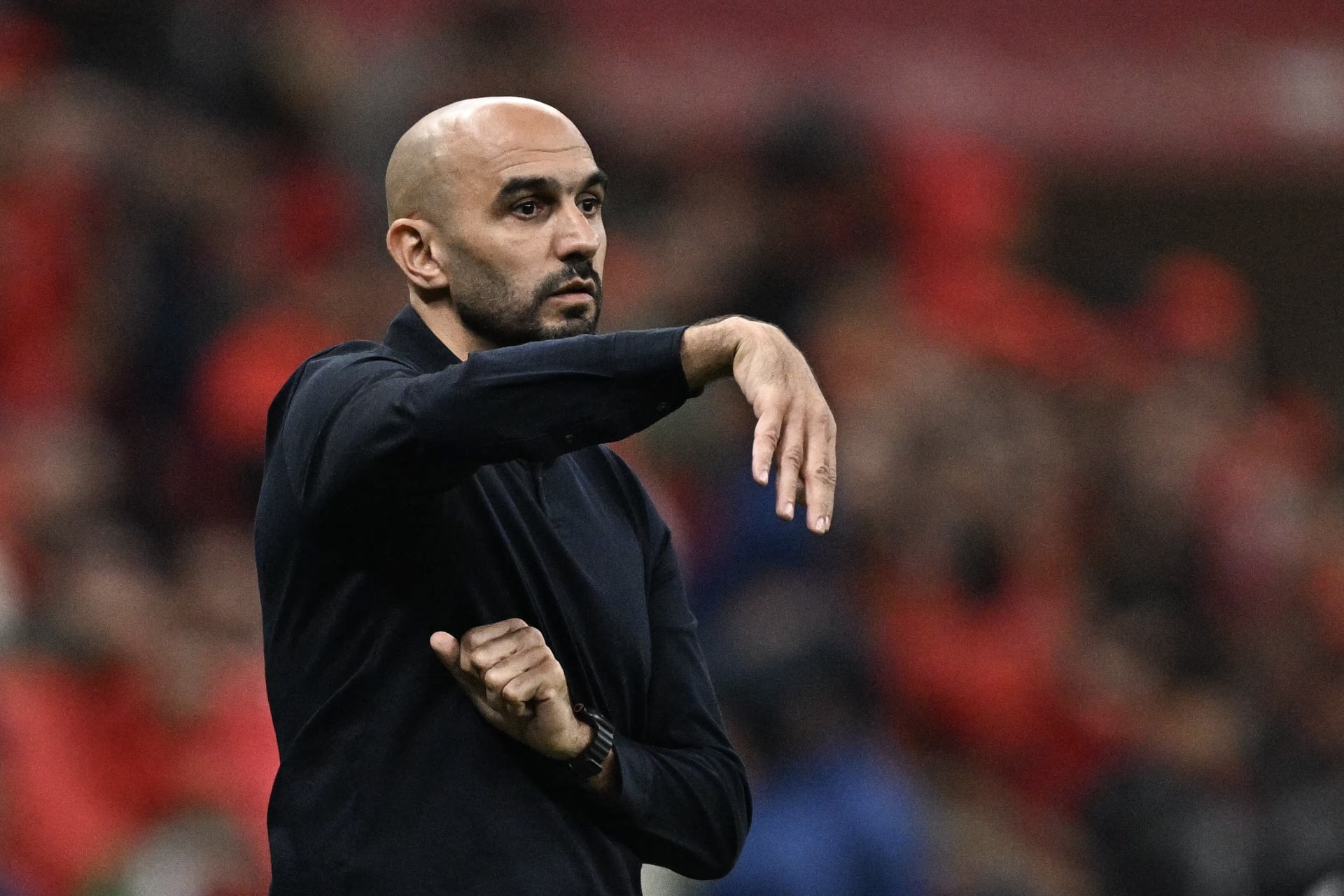 تصريح مفاجئ من وليد الركراكي بعد التتويج بكأس أمم إفريقيا ويكشف عن وجهته القادمة