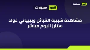 مشاهدة شبيبة القبائل وبيبياني غولد ستارز اليوم مباشر